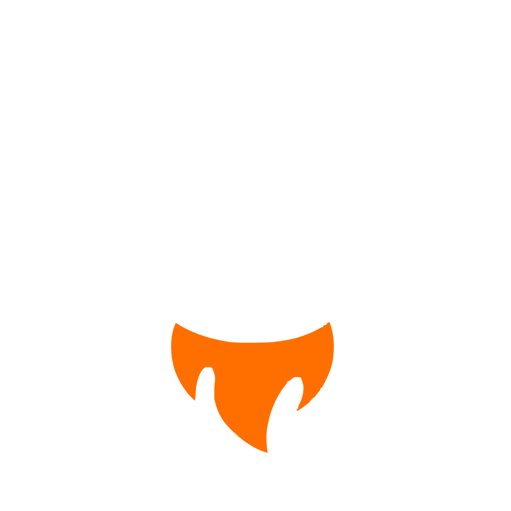 Logo Tolinauta